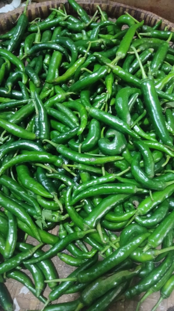 CABE HIJAU