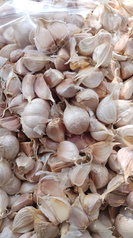BAWANG PUTIH