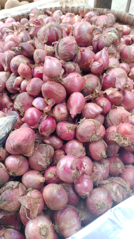 BAWANG MERAH